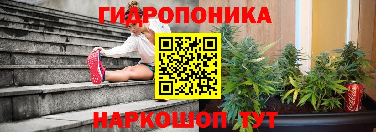Бошки марихуана ГИДРОПОН  Конопля ГИДРОПОН  Канабис White Widow  Вход с VPN  Батайск 